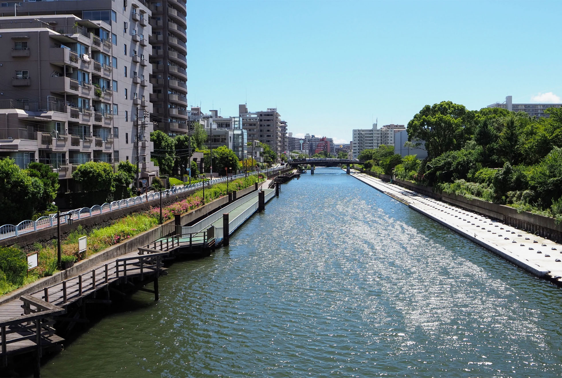 横十間川沿いには公園がいくつもあって、お散歩にピッタリね